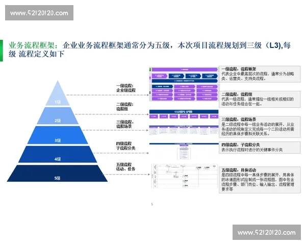 企业流程优化与数字化转型协同提升管理效能研究