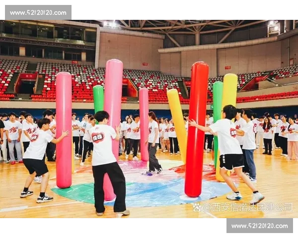 体育团队核心力：如何打造高效协作与凝聚力的关键因素分析