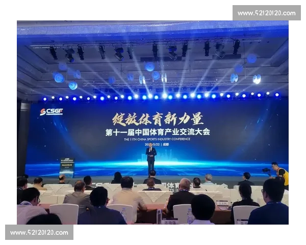 体育行业发展趋势分析报告：未来五年市场潜力与挑战展望